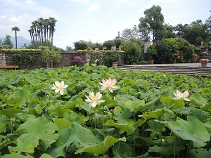 Villa Taranto, Verbania